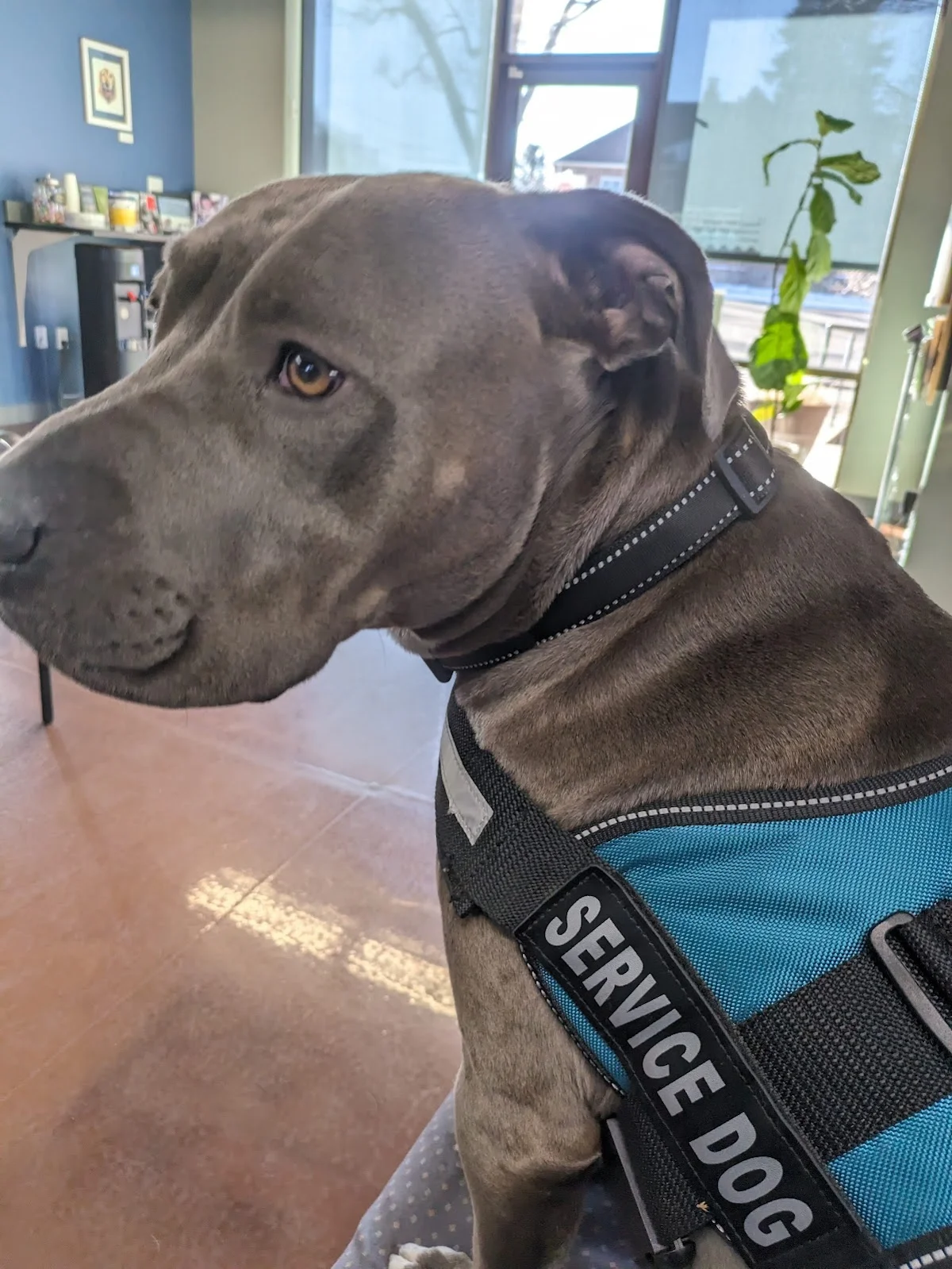 WellPower Mental Health Services - Recovery Center - Photo 2