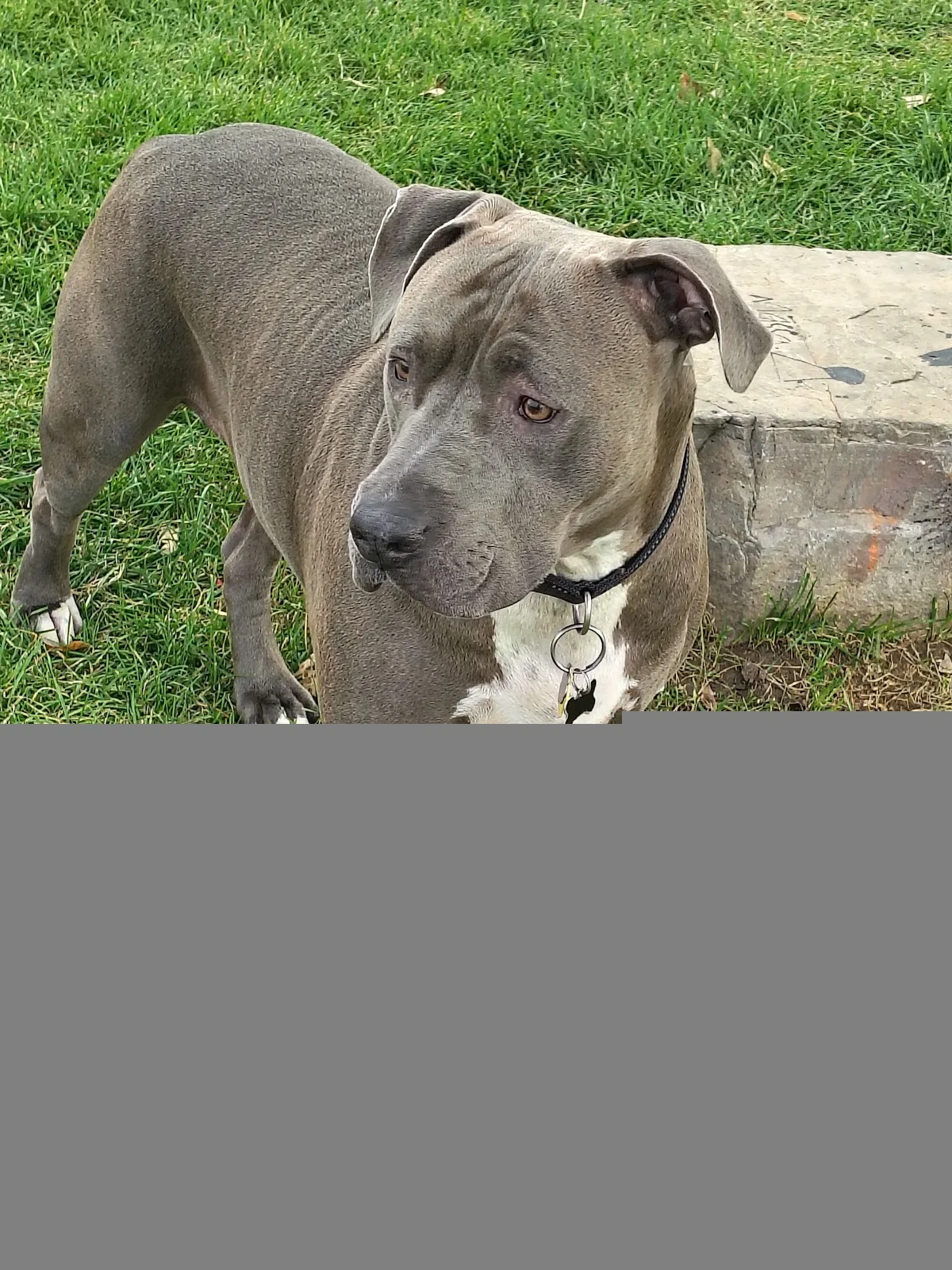 WellPower Mental Health Services - Recovery Center - Photo 4