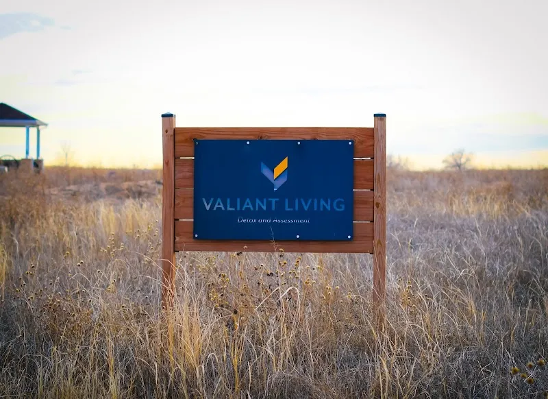 Valiant Living Detox and Assessment - Photo 4