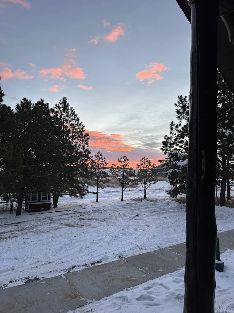 Healing Pines Recovery - Photo 5