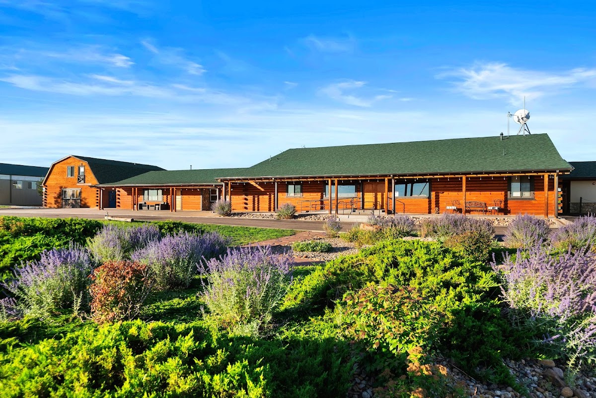 The Raleigh House - Watkins - Photo 6