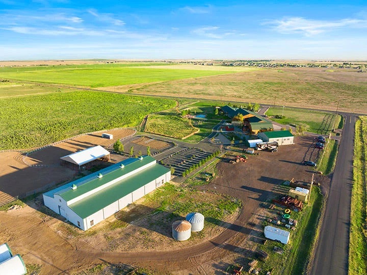 The Raleigh House - Watkins - Photo 4