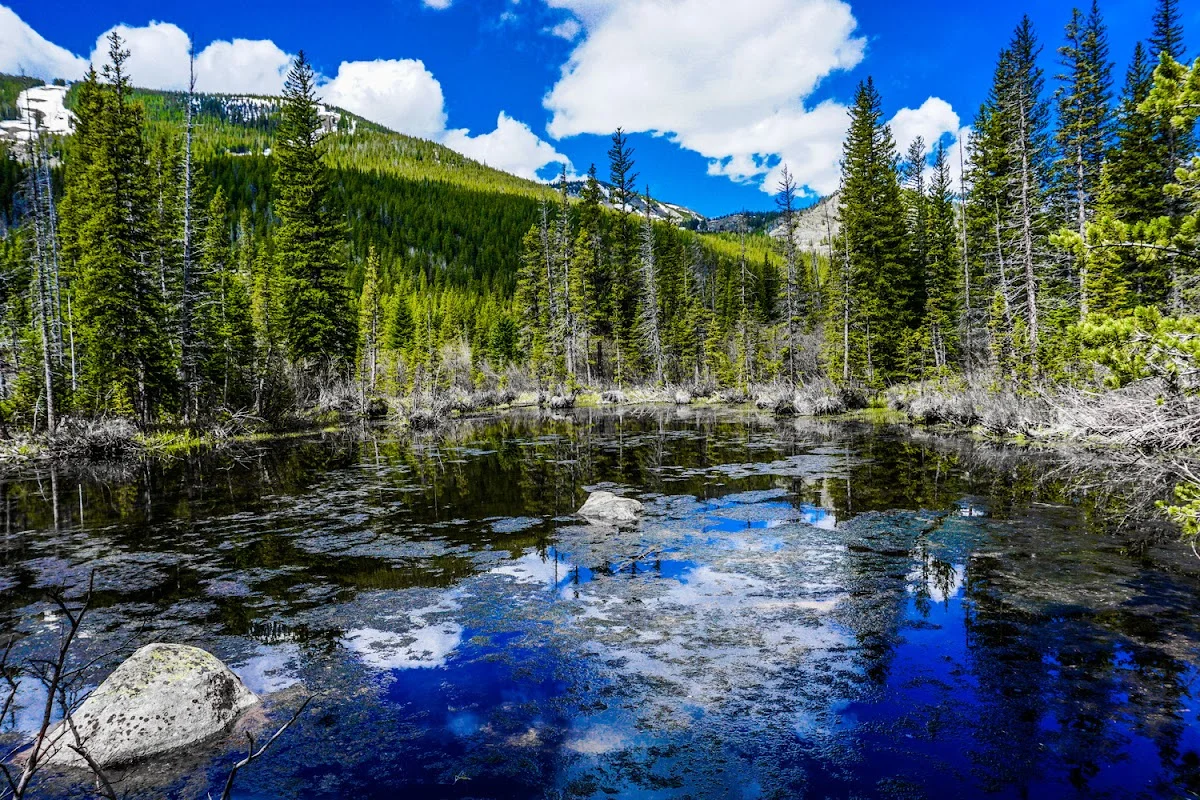 Choice House - Photo 3