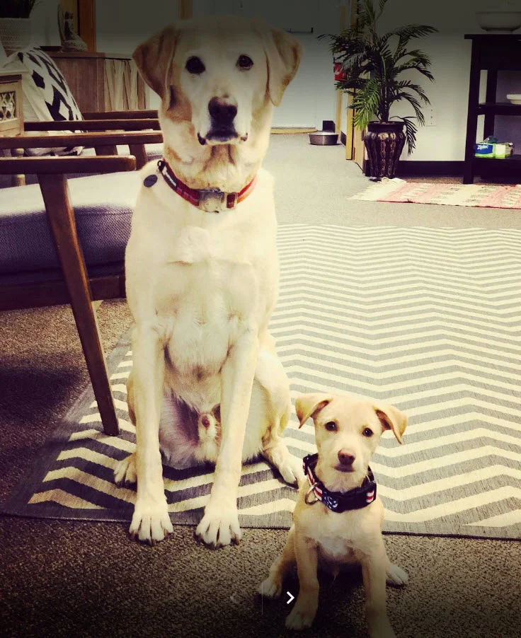 Redpoint Center - Longmont - Photo 3