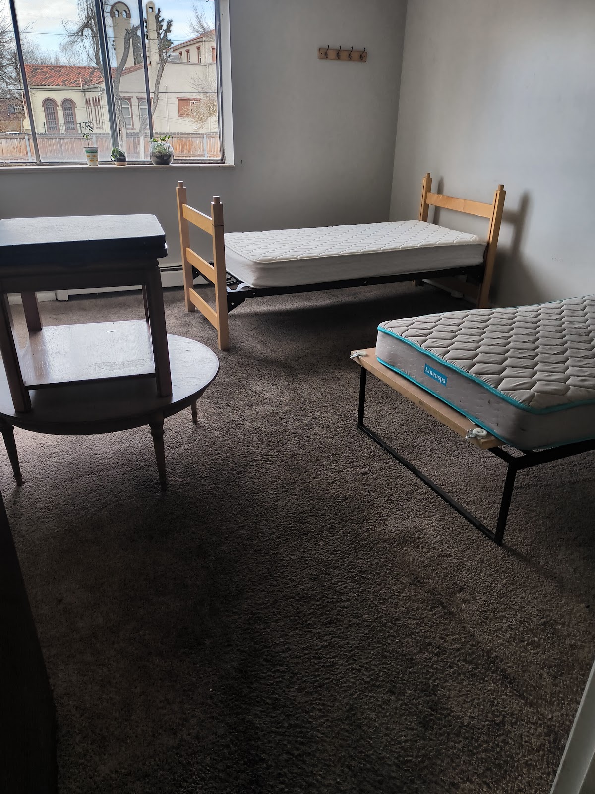 Ananeo Colorado LLC - Photo 2