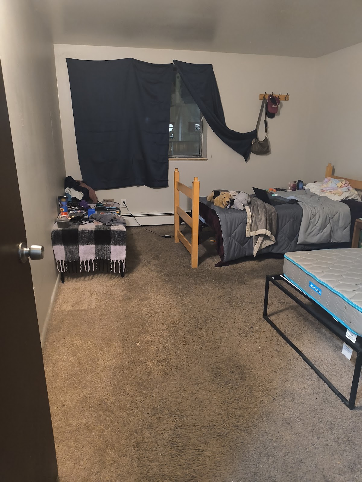 Ananeo Colorado LLC - Photo 4