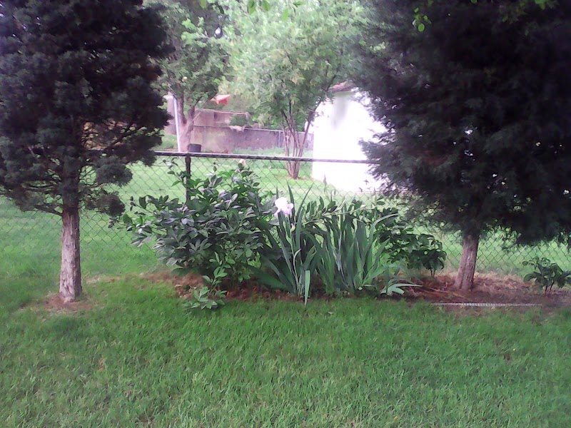 Marys Hope Sober Homes - Photo 5