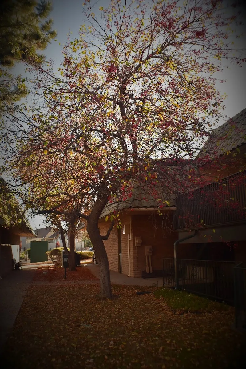 Solace Counseling Services Inc - Photo 5