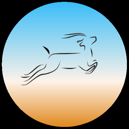 Antelope Recovery - Photo 5