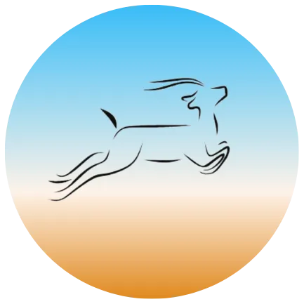 Antelope Recovery - Photo 2