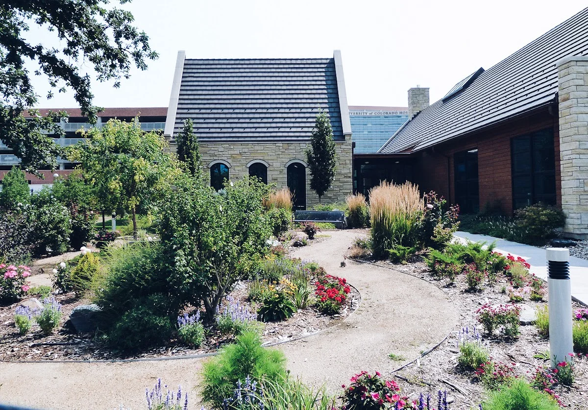 Center for Dependency, Addiction and Rehabilitation (CeDAR) A division of UCHealth - Photo 5