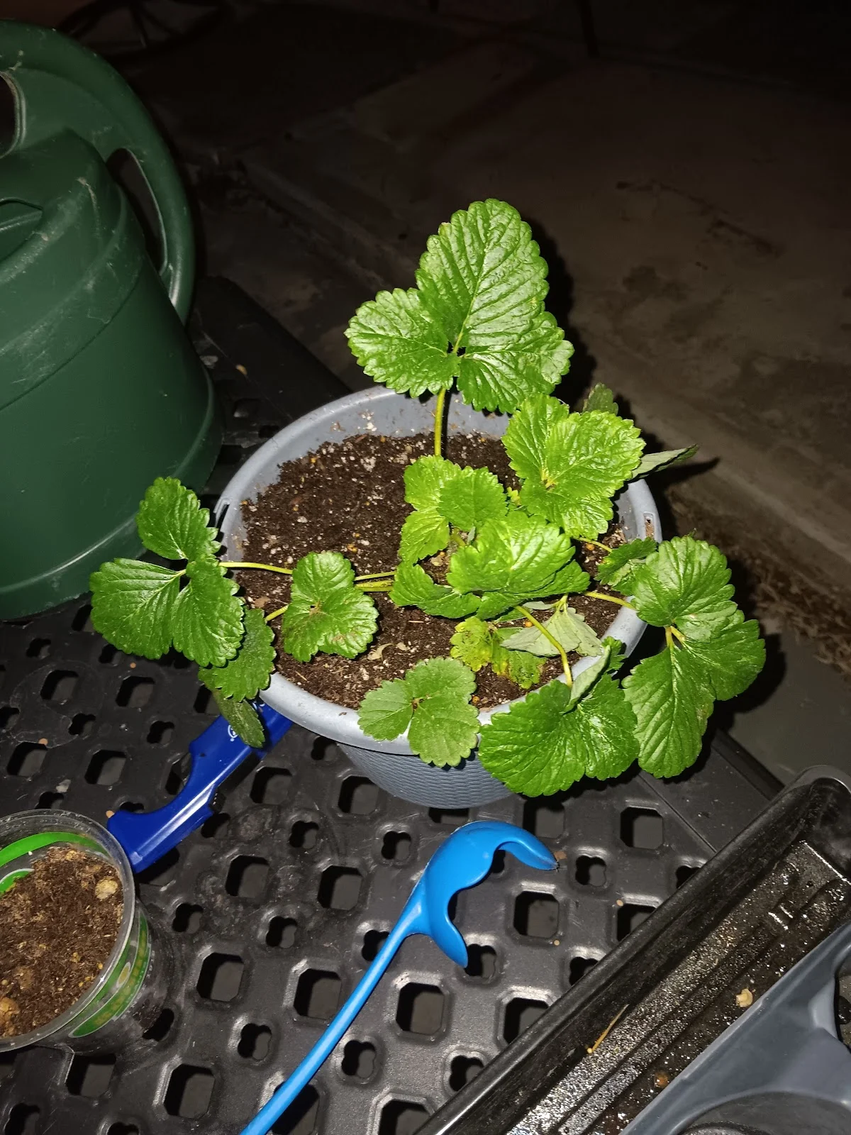 Summit House Recovery - Photo 2