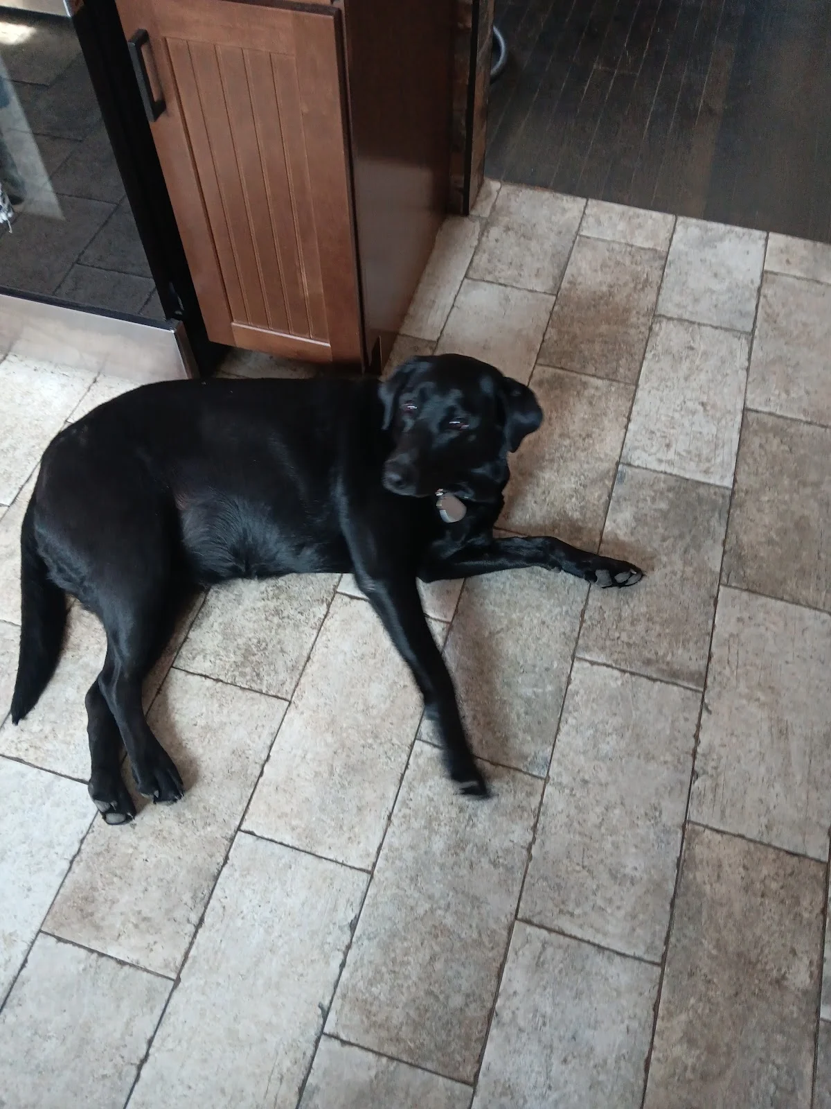 Summit House Recovery - Photo 3