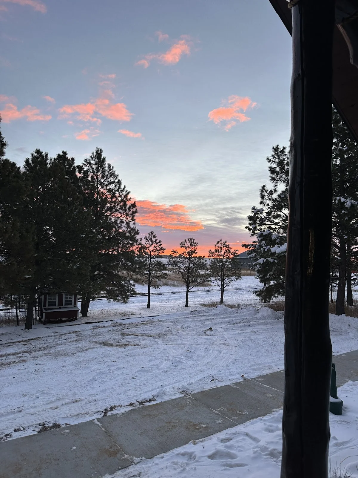 Healing Pines Recovery - Photo 5