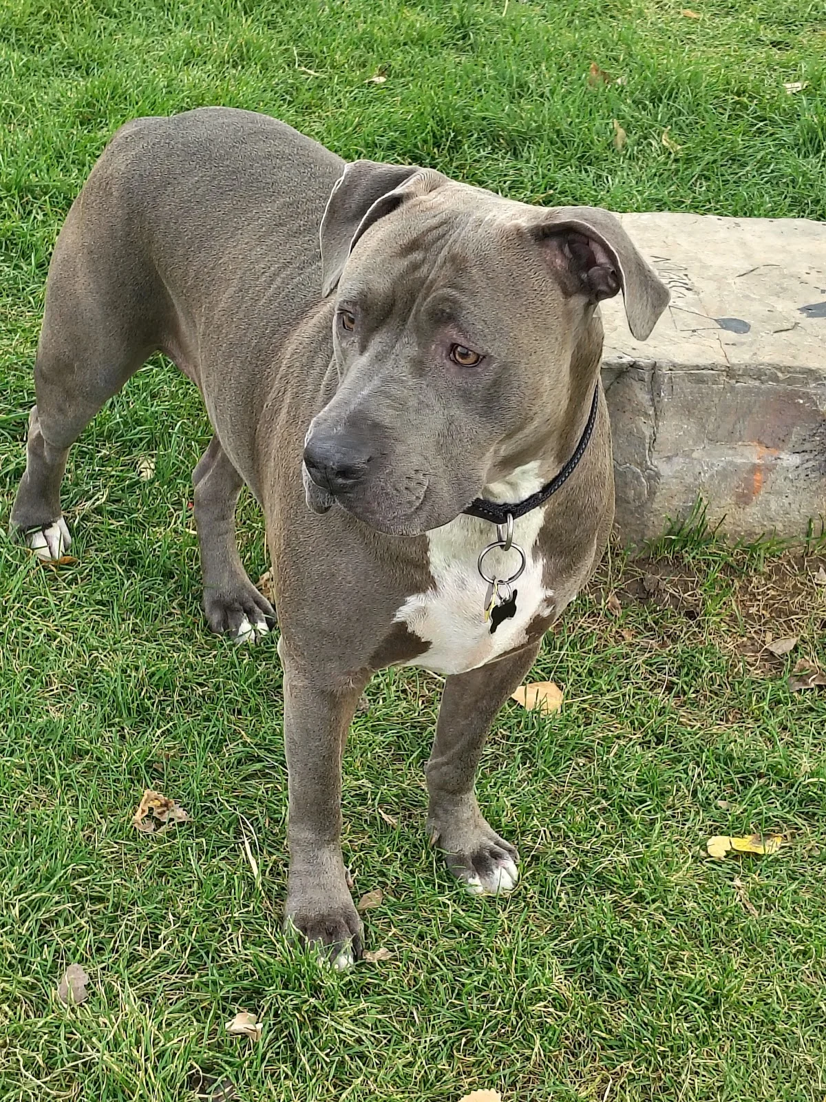 WellPower Mental Health Services - Recovery Center - Photo 4